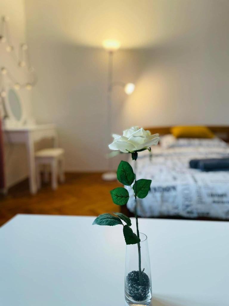 Lovely 2Bdr In Center, Wifi & Self-Check In Pressburg Exterior foto